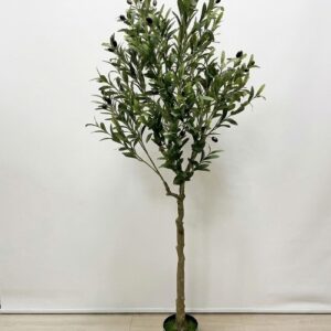 Vestacko drvo masline m 1.jpg