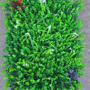 Zelenilo eukaliptus cvet m 2.jpg