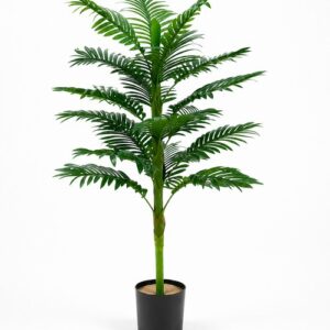 Vestacka palma m 5.jpg